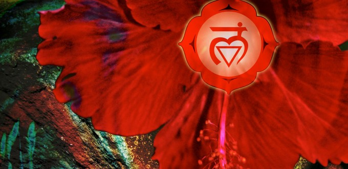 Root Chakra Healing~When you don’t feel safe or supported in Life~Where is my tribe?